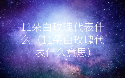 11朵白玫瑰代表什么（11朵白玫瑰代表什么意思）