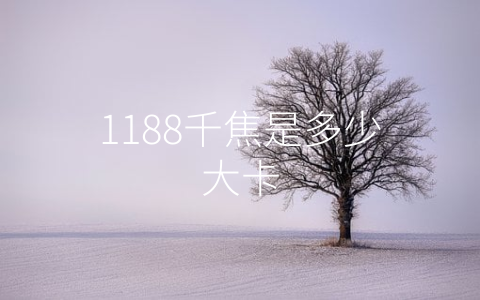 1188千焦是多少大卡