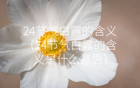 24节气白露的含义（24节气白露的含义是什么意思）