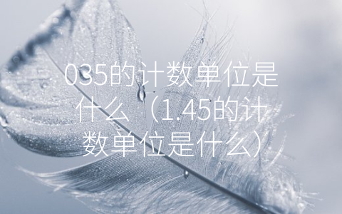 035的计数单位是什么（1.45的计数单位是什么）