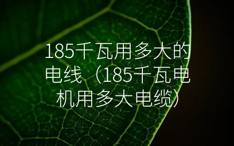 185千瓦用多大的电线（185千瓦电机用多大电缆）