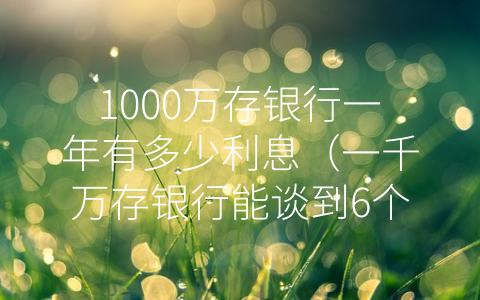 1000万存银行一年有多少利息（一千万存银行能谈到6个点吗）