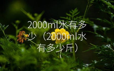 2000ml水有多少（2000ml水有多少斤）