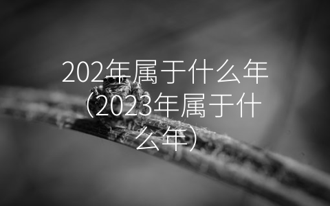 202年属于什么年（2023年属于什么年）