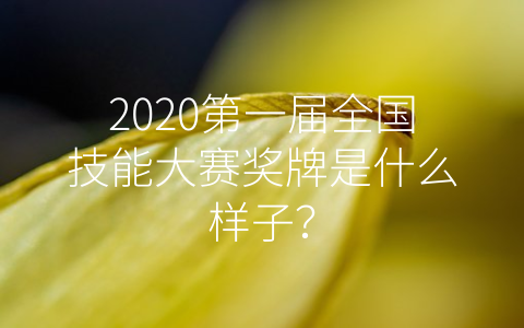 2020第一届全国技能大赛奖牌是什么样子？