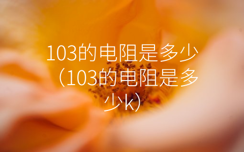 103的电阻是多少（103的电阻是多少k）