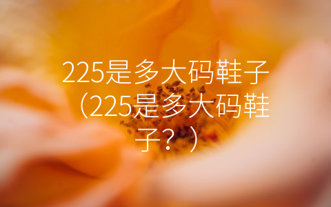 225是多大码鞋子（225是多大码鞋子？）