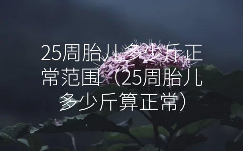 25周胎儿多少斤正常范围（25周胎儿多少斤算正常）