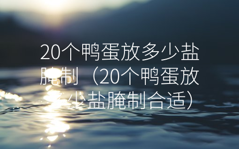 20个鸭蛋放多少盐腌制（20个鸭蛋放多少盐腌制合适）