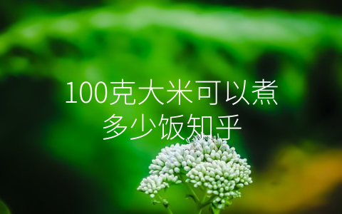 100克大米可以煮多少饭知乎