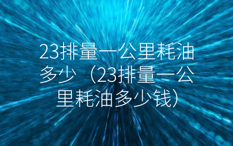 23排量一公里耗油多少（23排量一公里耗油多少钱）