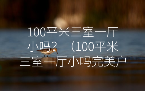 100平米三室一厅小吗？（100平米三室一厅小吗完美户型）