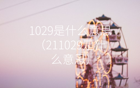 1029是什么意思（211029是什么意思）