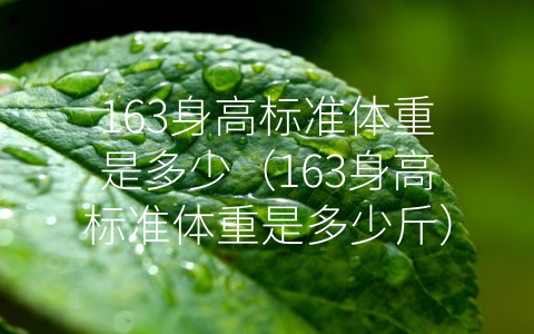 163身高标准体重是多少（163身高标准体重是多少斤）