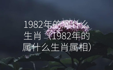 1982年的属什么生肖（1982年的属什么生肖属相）