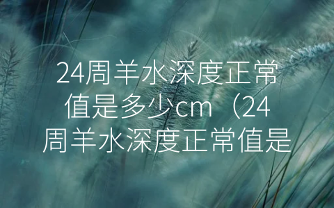 24周羊水深度正常值是多少cm（24周羊水深度正常值是多少）