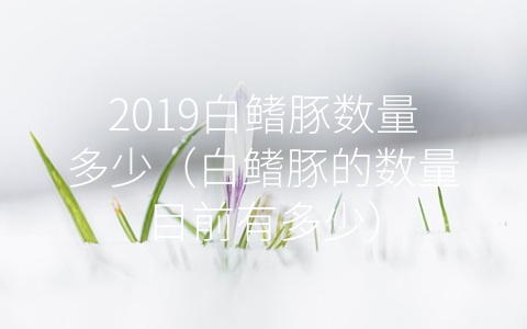 2019白鳍豚数量多少（白鳍豚的数量目前有多少）