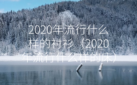 2020年流行什么样的衬衫（2020年流行什么样的床）