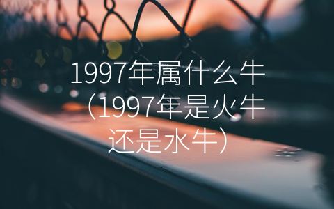 1997年属什么牛（1997年是火牛还是水牛）