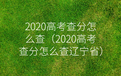 2020高考查分怎么查（2020高考查分怎么查辽宁省）