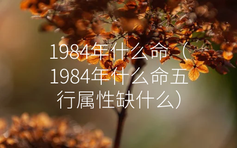 1984年什么命（1984年什么命五行属性缺什么）