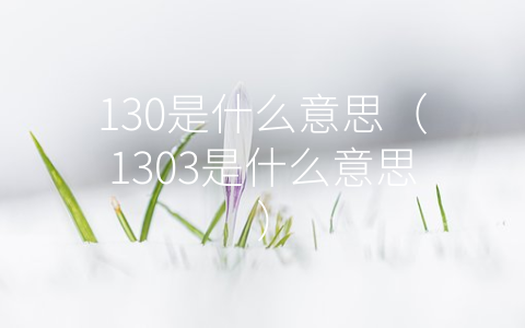 130是什么意思（1303是什么意思）