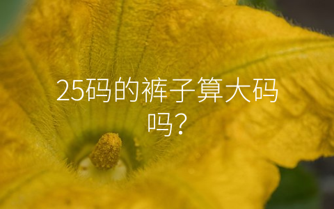 25码的裤子算大码吗？