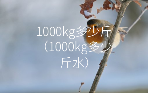 1000kg多少斤（1000kg多少斤水）