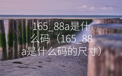 165_88a是什么码（165_88a是什么码的尺寸）