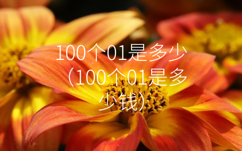 100个01是多少（100个01是多少钱）