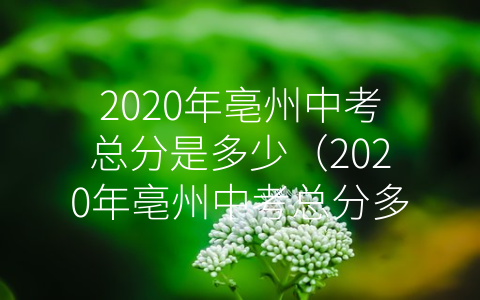 2020年亳州中考总分是多少（2020年亳州中考总分多少分）