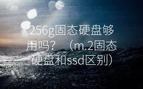 256g固态硬盘够用吗？（m.2固态硬盘和ssd区别）