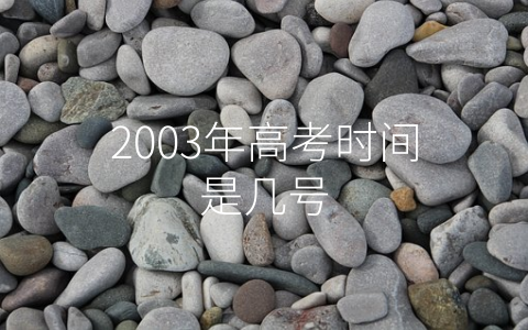 2003年高考时间是几号