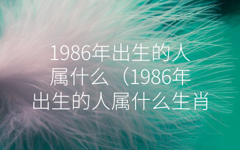 1986年出生的人属什么（1986年出生的人属什么生肖）