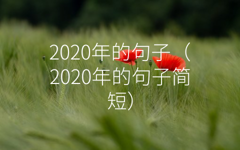 2020年的句子（2020年的句子简短）