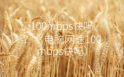 100mbps快吗？（电脑网速100mbps快吗）