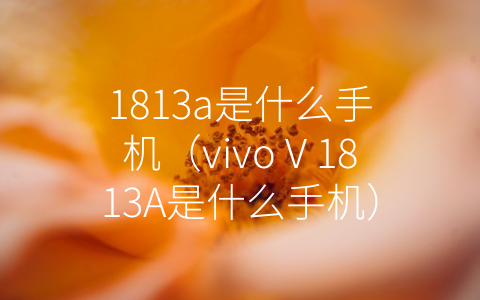 1813a是什么手机（vivoⅤ1813A是什么手机）