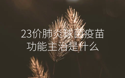 23价肺炎球菌疫苗功能主治是什么