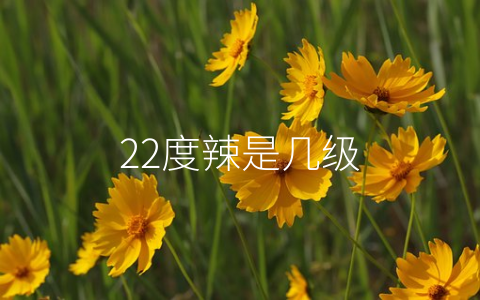 22度辣是几级