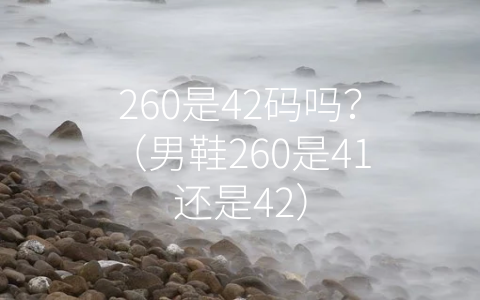 260是42码吗？（男鞋260是41还是42）