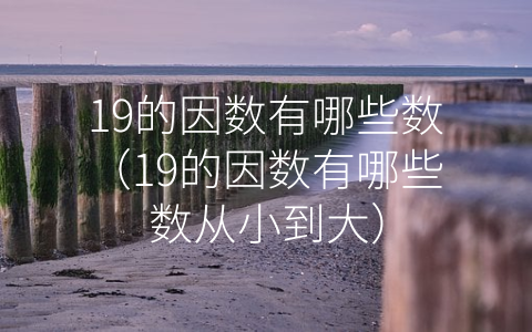 19的因数有哪些数（19的因数有哪些数从小到大）