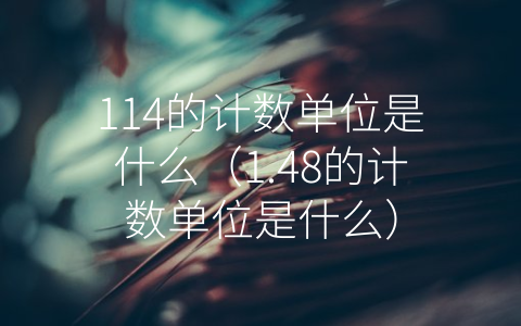 114的计数单位是什么（1.48的计数单位是什么）