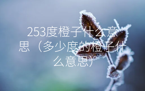 253度橙子什么意思（多少度的橙子什么意思）