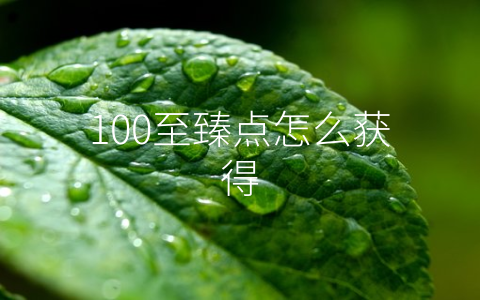 100至臻点怎么获得