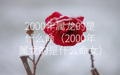 2000年属龙的是什么命（2000年属龙的是什么命女）