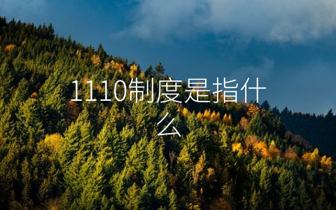 1110制度是指什么