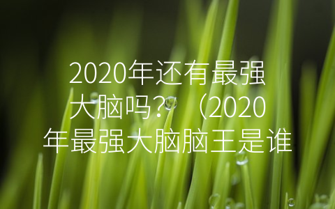 2020年还有最强大脑吗？（2020年最强大脑脑王是谁）