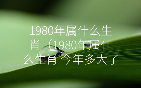 1980年属什么生肖（1980年属什么生肖 今年多大了）