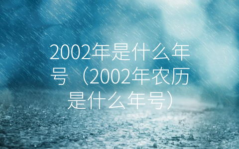 2002年是什么年号（2002年农历是什么年号）