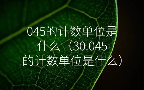 045的计数单位是什么（30.045的计数单位是什么）